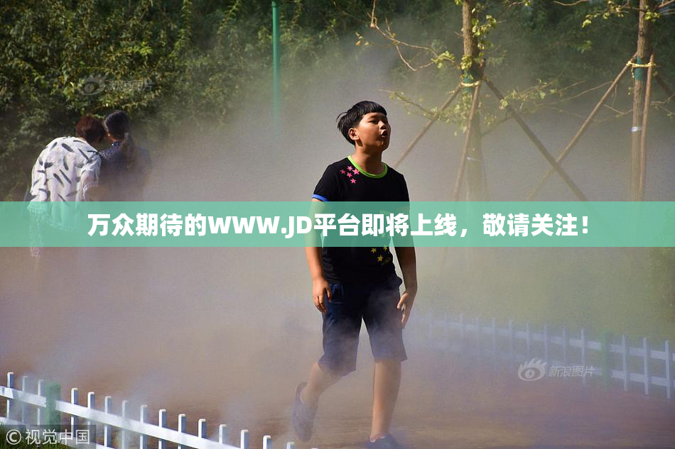 万众期待的WWW.JD平台即将上线，敬请关注！