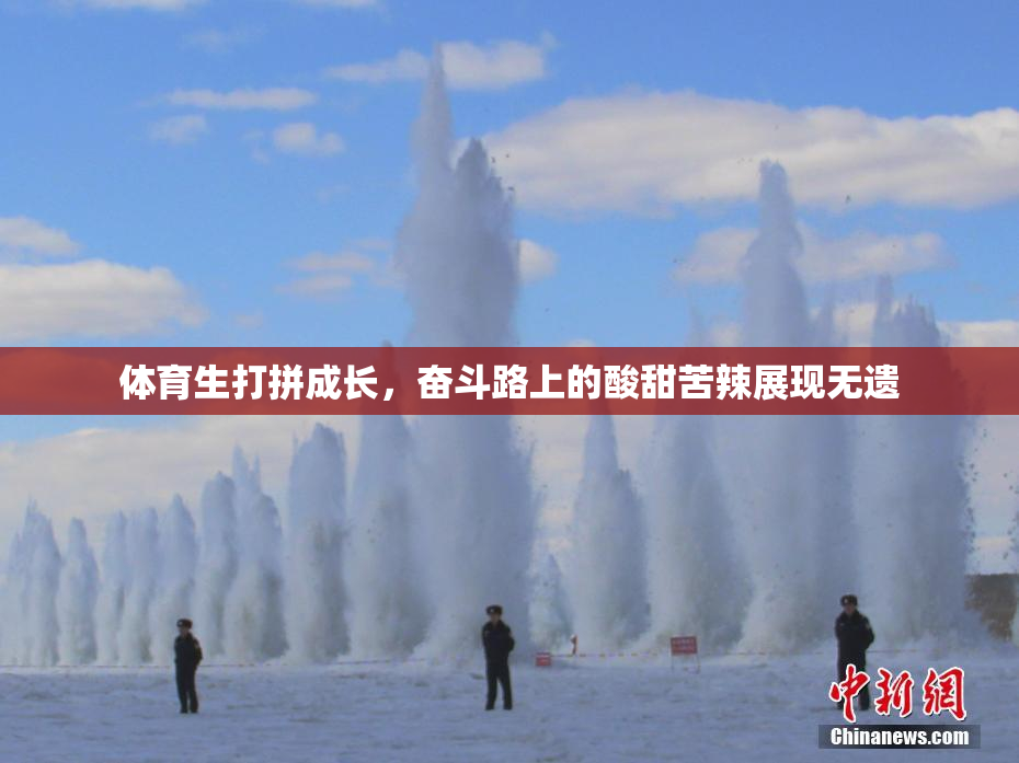 体育生打拼成长，奋斗路上的酸甜苦辣展现无遗