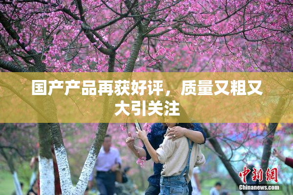 国产产品再获好评，质量又粗又大引关注