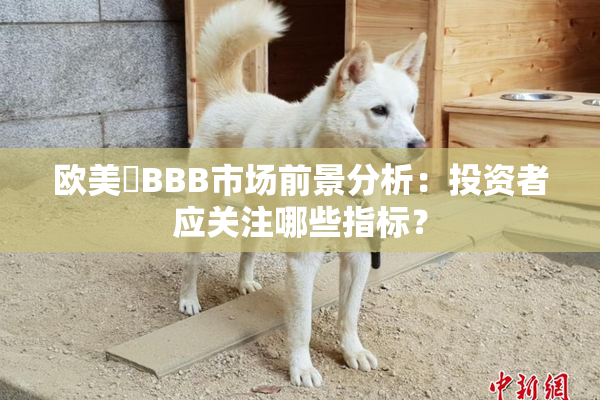 欧美槡BBB市场前景分析：投资者应关注哪些指标？
