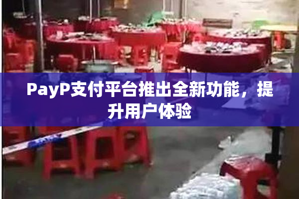 PayP支付平台推出全新功能，提升用户体验