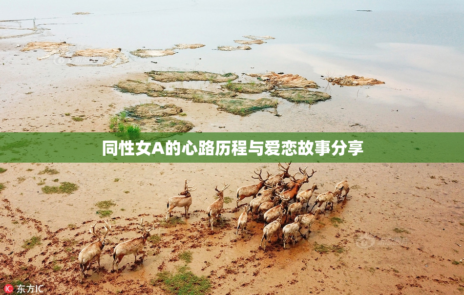 同性女A的心路历程与爱恋故事分享