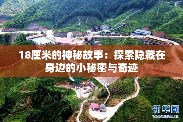 18厘米的神秘故事：探索隐藏在身边的小秘密与奇迹
