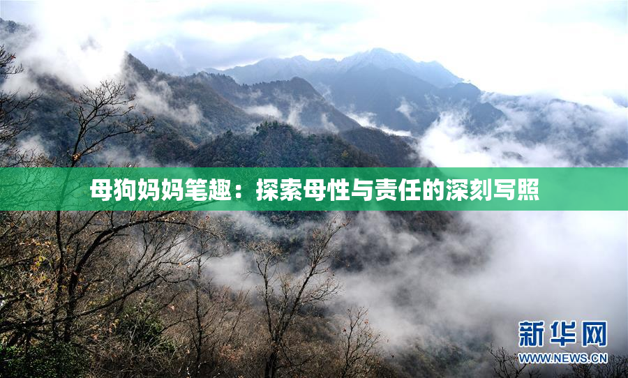 母狗妈妈笔趣：探索母性与责任的深刻写照