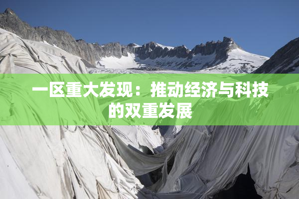一区重大发现：推动经济与科技的双重发展