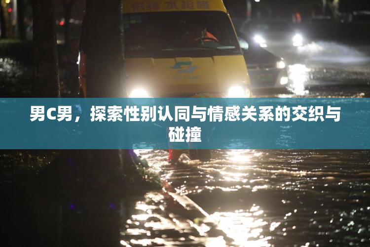 男C男，探索性别认同与情感关系的交织与碰撞