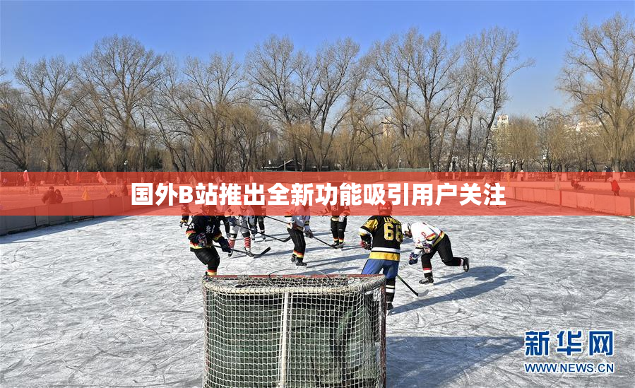 国外B站推出全新功能吸引用户关注