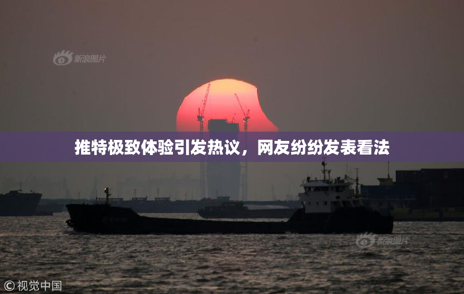 推特极致体验引发热议，网友纷纷发表看法