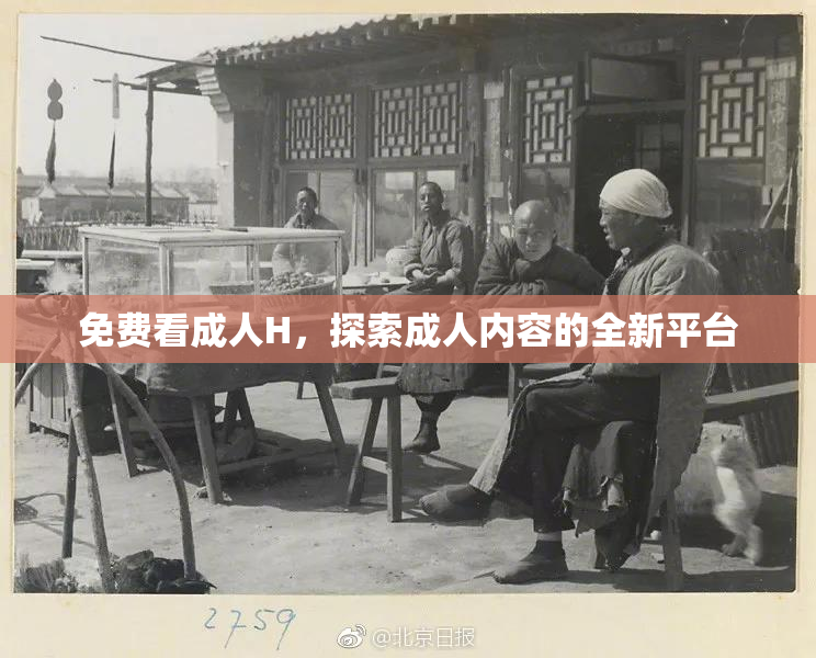 免费看成人H，探索成人内容的全新平台
