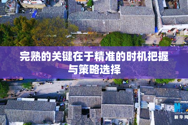 完熟的关键在于精准的时机把握与策略选择
