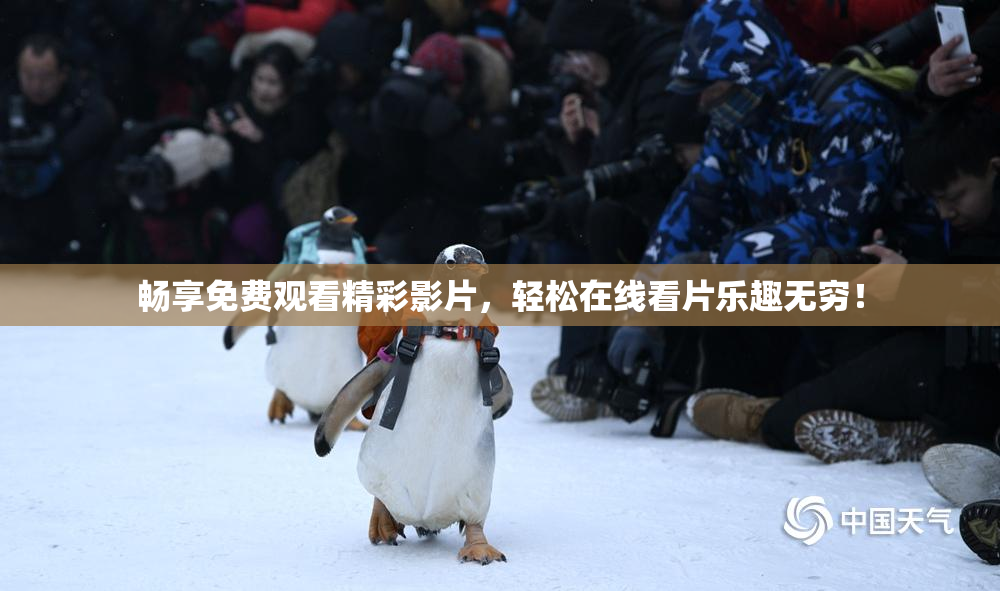 畅享免费观看精彩影片，轻松在线看片乐趣无穷！