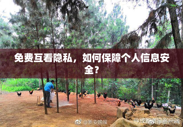 免费互看隐私，如何保障个人信息安全？