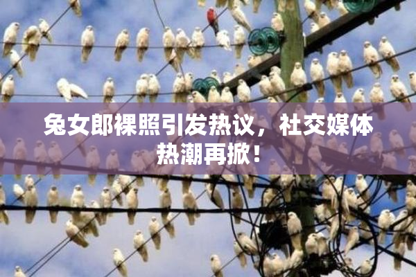 兔女郎裸照引发热议，社交媒体热潮再掀！