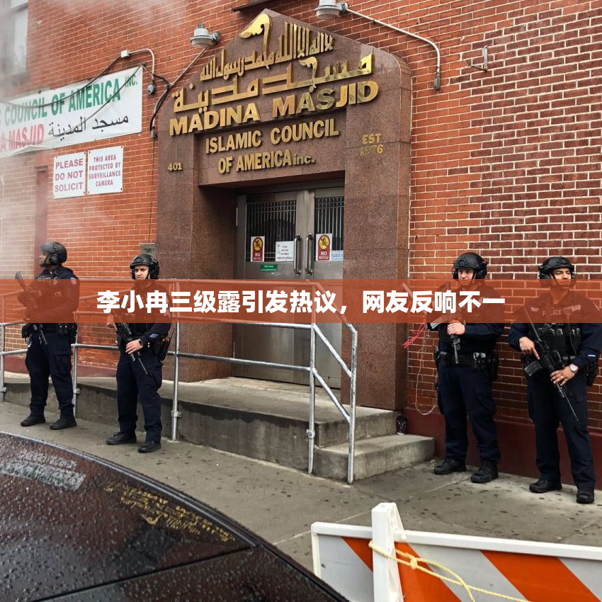 李小冉三级露引发热议，网友反响不一