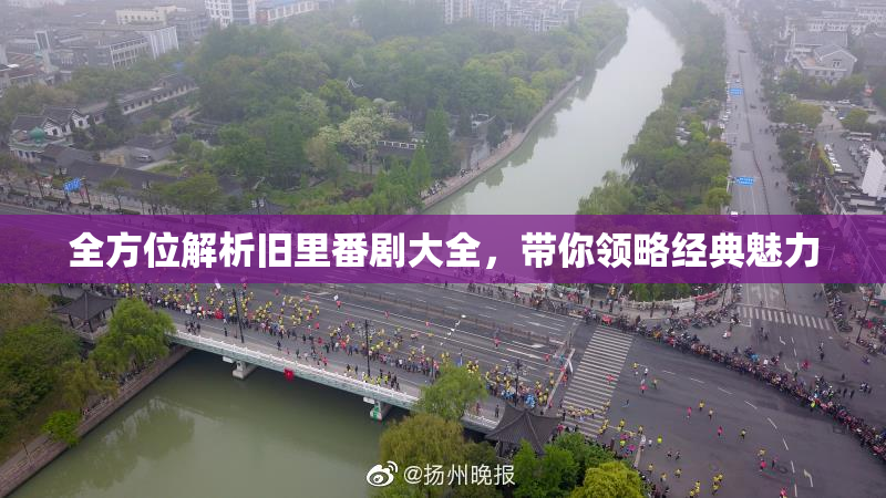 全方位解析旧里番剧大全，带你领略经典魅力