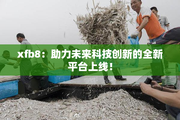 xfb8：助力未来科技创新的全新平台上线！