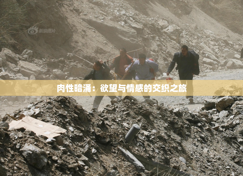 肉性暗涌：欲望与情感的交织之旅
