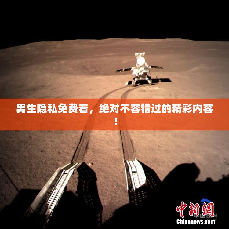 男生隐私免费看，绝对不容错过的精彩内容！
