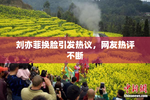 刘亦菲换脸引发热议，网友热评不断
