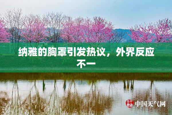 纳雅的胸罩引发热议，外界反应不一