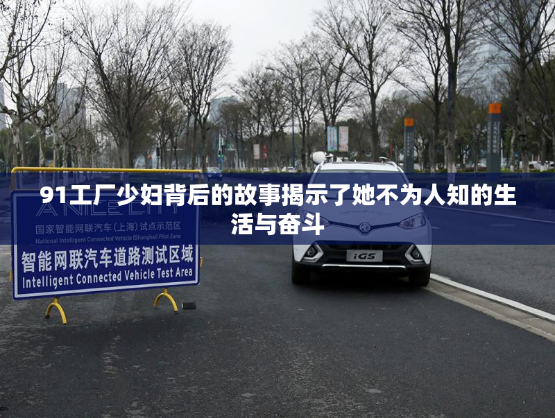 91工厂少妇背后的故事揭示了她不为人知的生活与奋斗