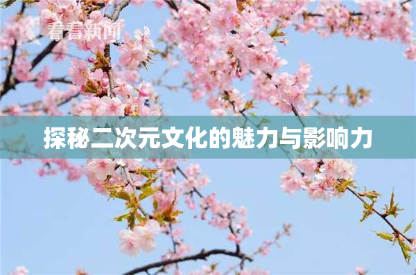 探秘二次元文化的魅力与影响力