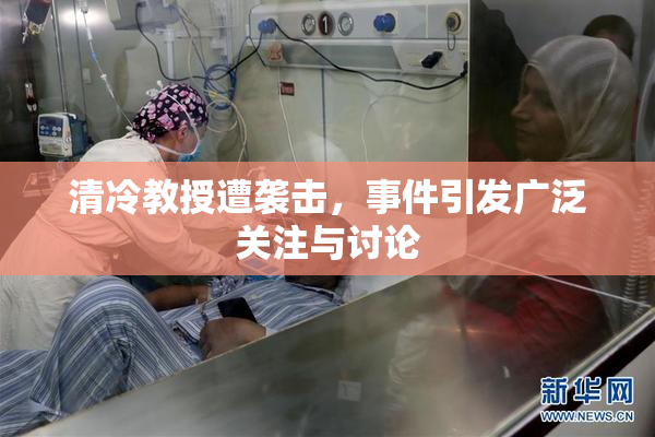 清冷教授遭袭击，事件引发广泛关注与讨论