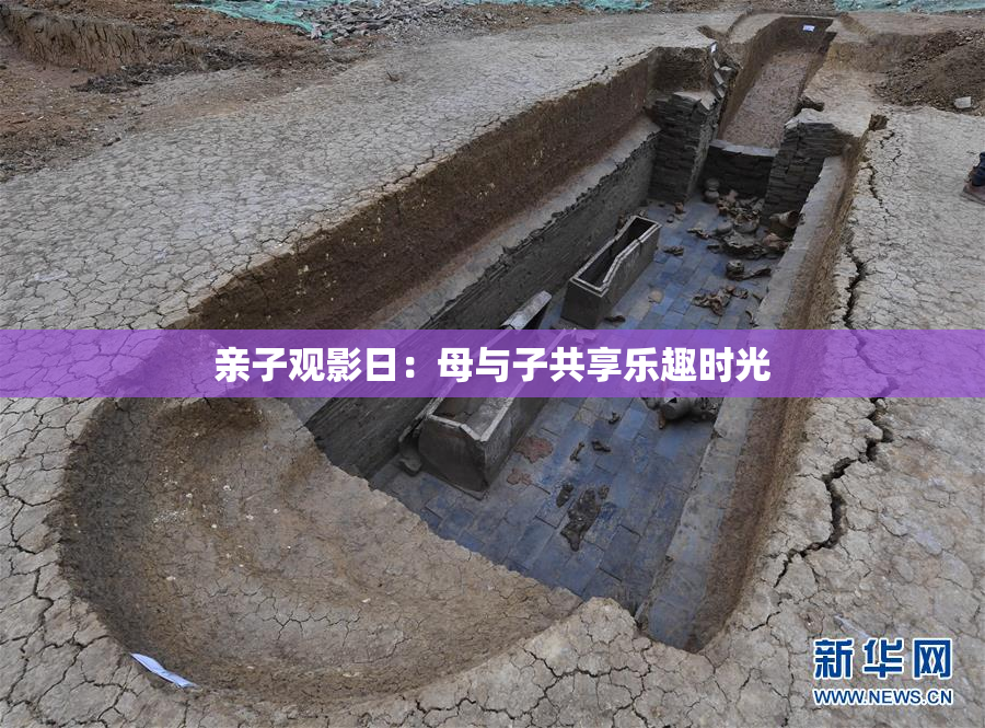 亲子观影日：母与子共享乐趣时光