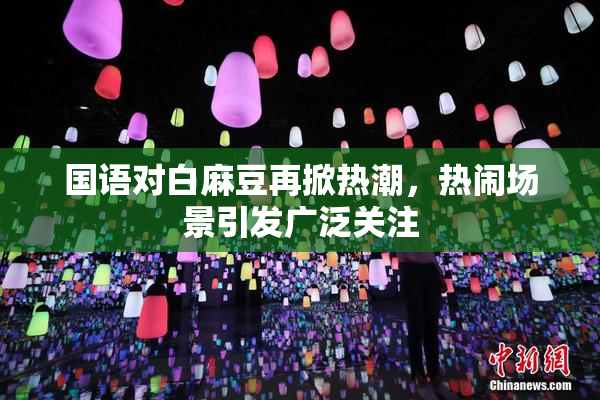 国语对白麻豆再掀热潮，热闹场景引发广泛关注
