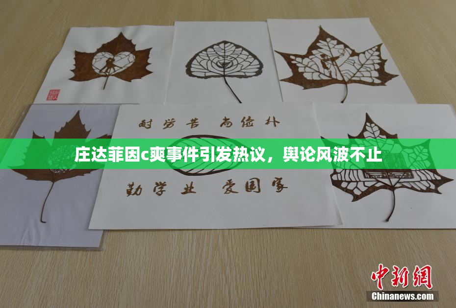 庄达菲因c爽事件引发热议，舆论风波不止