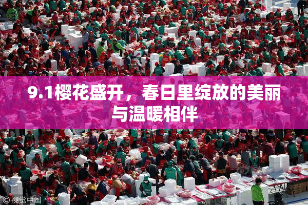 9.1樱花盛开，春日里绽放的美丽与温暖相伴