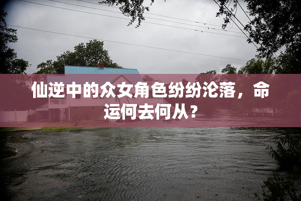 仙逆中的众女角色纷纷沦落，命运何去何从？