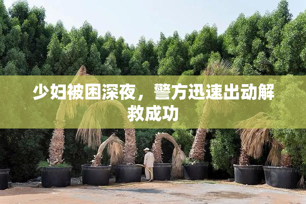 少妇被困深夜，警方迅速出动解救成功