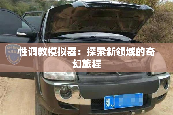 性调教模拟器：探索新领域的奇幻旅程