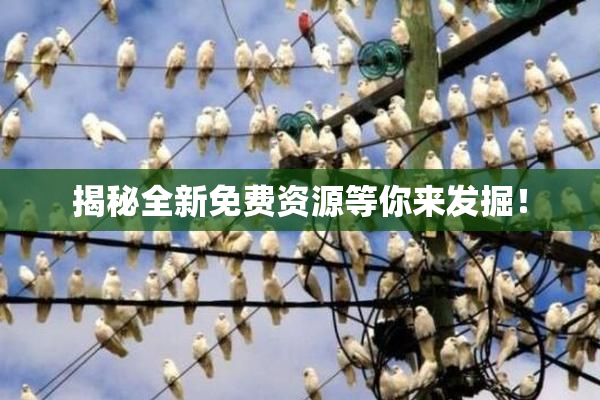 揭秘全新免费资源等你来发掘！