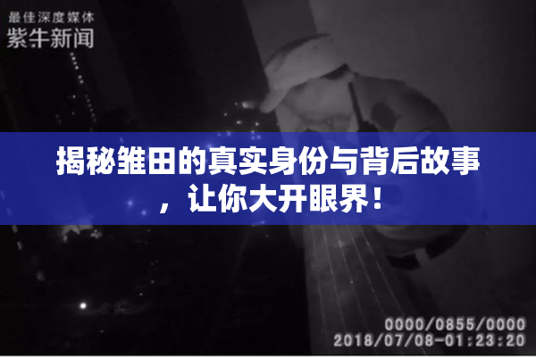 揭秘雏田的真实身份与背后故事，让你大开眼界！