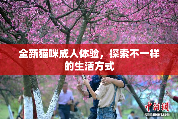 全新猫咪成人体验，探索不一样的生活方式
