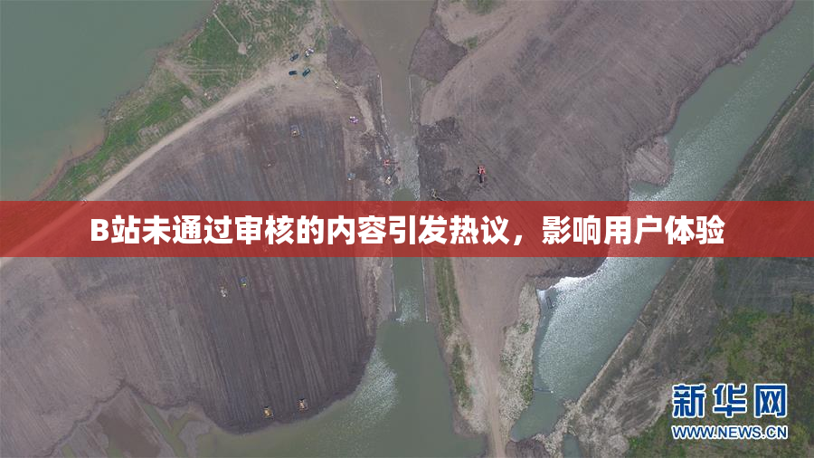 B站未通过审核的内容引发热议，影响用户体验
