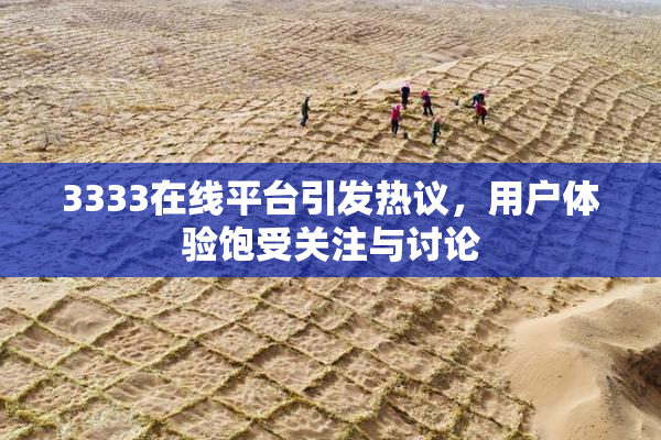 3333在线平台引发热议，用户体验饱受关注与讨论