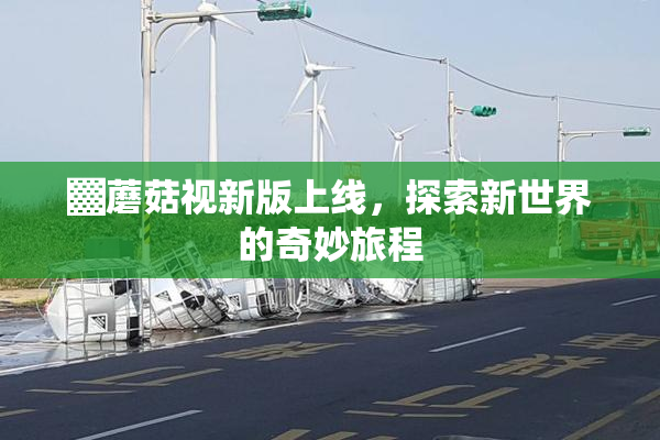 ▓蘑菇视新版上线，探索新世界的奇妙旅程