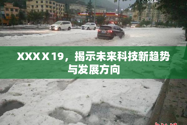 XXXⅩ19，揭示未来科技新趋势与发展方向