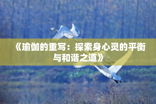 《瑜伽的重写：探索身心灵的平衡与和谐之道》