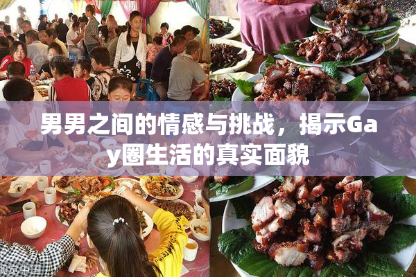男男之间的情感与挑战，揭示Gay圈生活的真实面貌