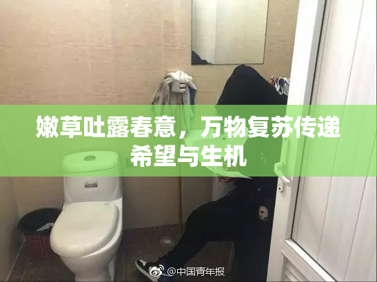 嫩草吐露春意，万物复苏传递希望与生机
