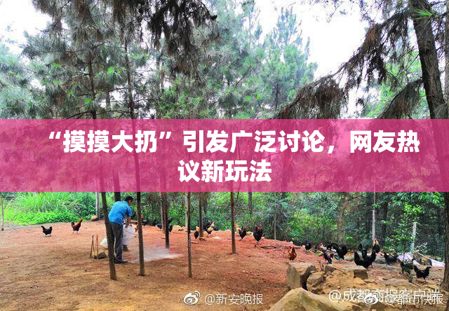“摸摸大扔”引发广泛讨论，网友热议新玩法