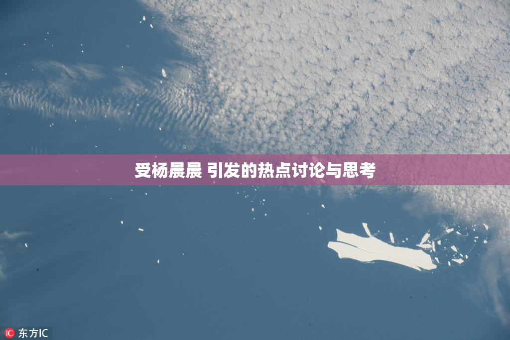 受杨晨晨 引发的热点讨论与思考
