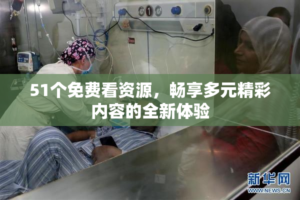 51个免费看资源，畅享多元精彩内容的全新体验