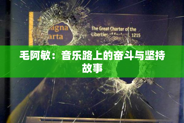 毛阿敏：音乐路上的奋斗与坚持故事