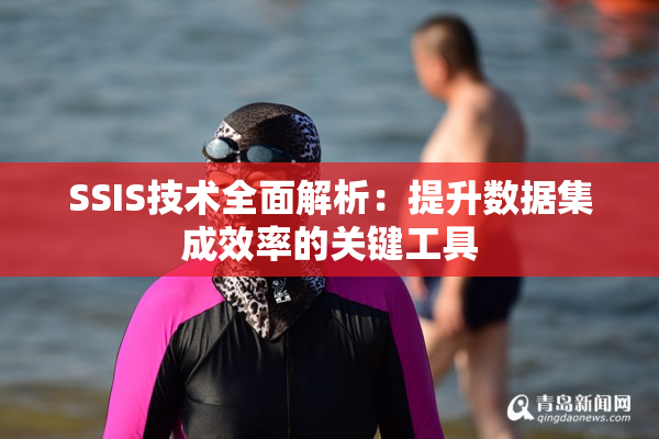 SSIS技术全面解析：提升数据集成效率的关键工具