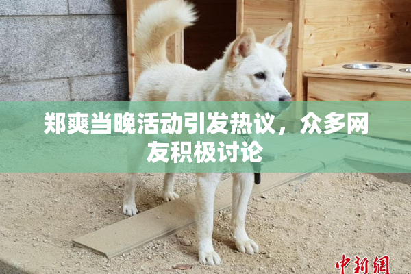 郑爽当晚活动引发热议，众多网友积极讨论